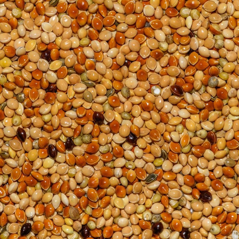 Mistura Spert para Calopsita 500 g